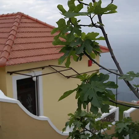 Pargo * Fajã da Ovelha