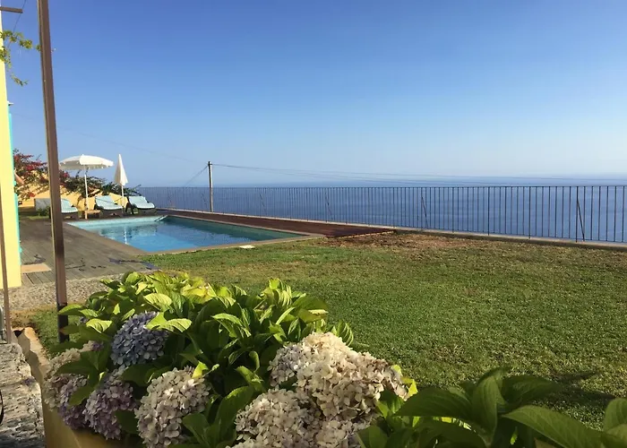 Pargo Fajã da Ovelha