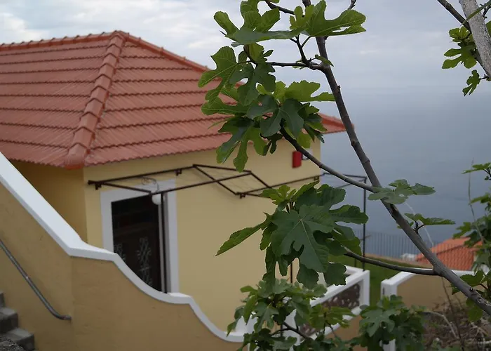 Pargo * Fajã da Ovelha